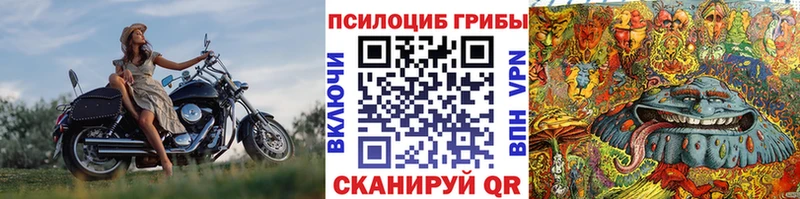 Псилоцибиновые грибы Cubensis  купить наркотики сайты  Навашино 